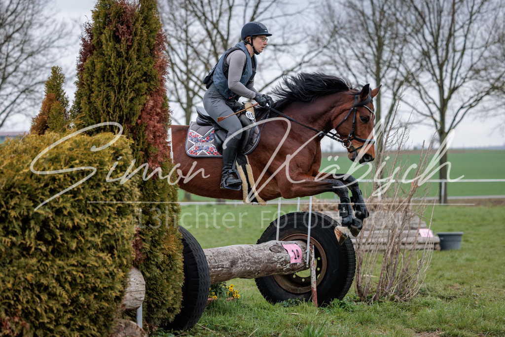 20260329-_3LI4006 | Tierfotografie Pferde, Hunde, Katzen, Haustiere.
Turnierfotografie Reitturniere, Reiten, Springreiten, Dressur in Hanau, dem Main-Kinzig-Kreis und dem Rhein-Main- Gebiet um Frankfurt