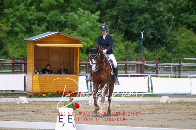 DKP40745 | Turniersportfotografie; Pferdefotografie; Dressurfotografie