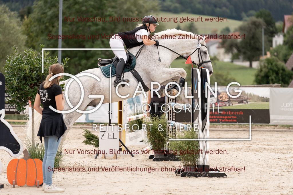 DSC06500 | Springturnier_Teamchallege_Talheim_2026, Natascha_Pfaff, Clover's_Hope_SD