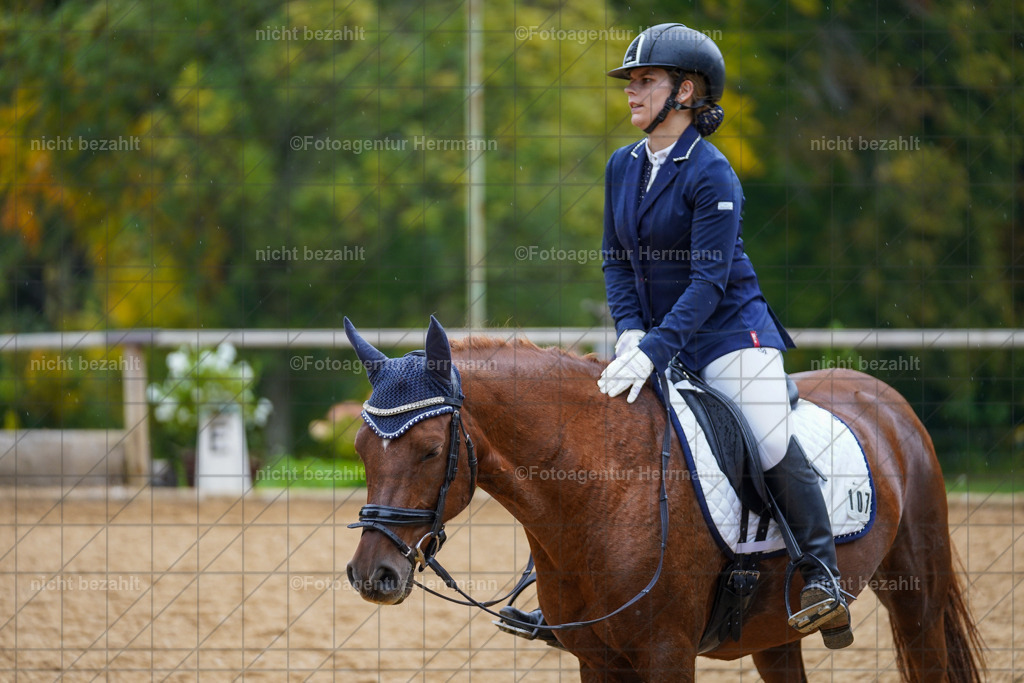 20221008-FAH01845 | Diessen am Ammersee, 2022, Dressur- und Springturnier, Reitsportbilder, Turnierfotografen Bayern, Pferdefotografen, Fotoagentur Herrmann, Turnierbilder