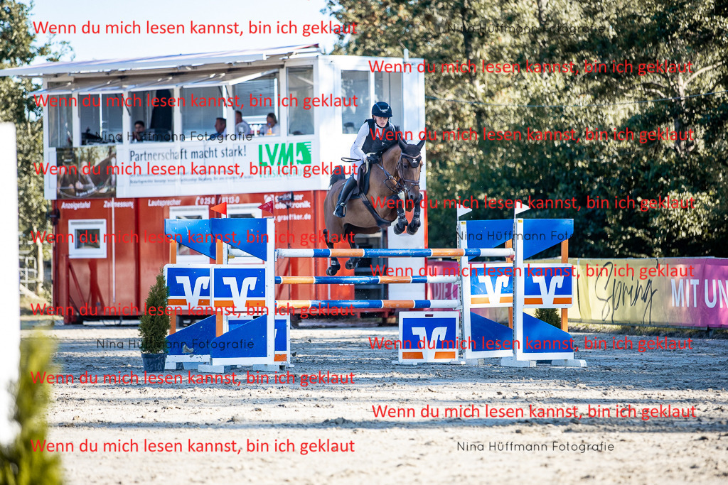 BK1A8302 | Turnierbilder Turnierfotos Nina Hüffmann Turnierfotografie Pferdefotografie Tierzeichnung Haustierzeichnung Pferdezeichnung Hundezeichnung Videograf  - Realisiert mit Pictrs.com