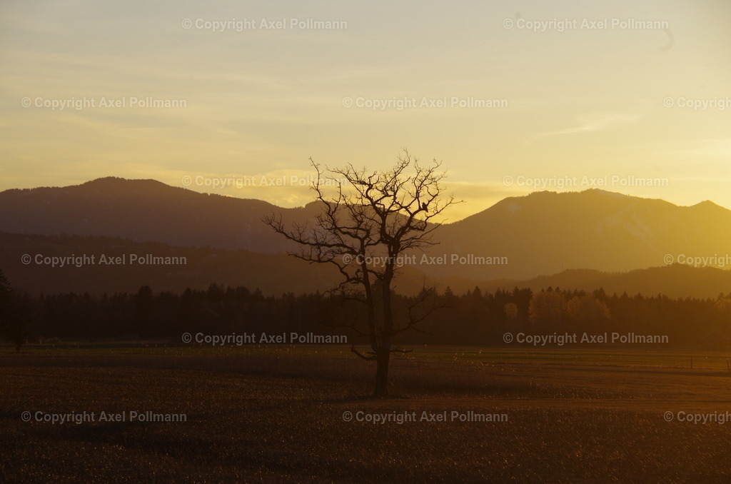 103-IMGP7102 | fotografiert von Axel PollmannLeonhardi Wallfahrt Benediktbeuern und Murnau, Fronleichnam, Fasching, Landschaft im Loisachtal und Benediktbeuern  - Realisiert mit Pictrs.com
