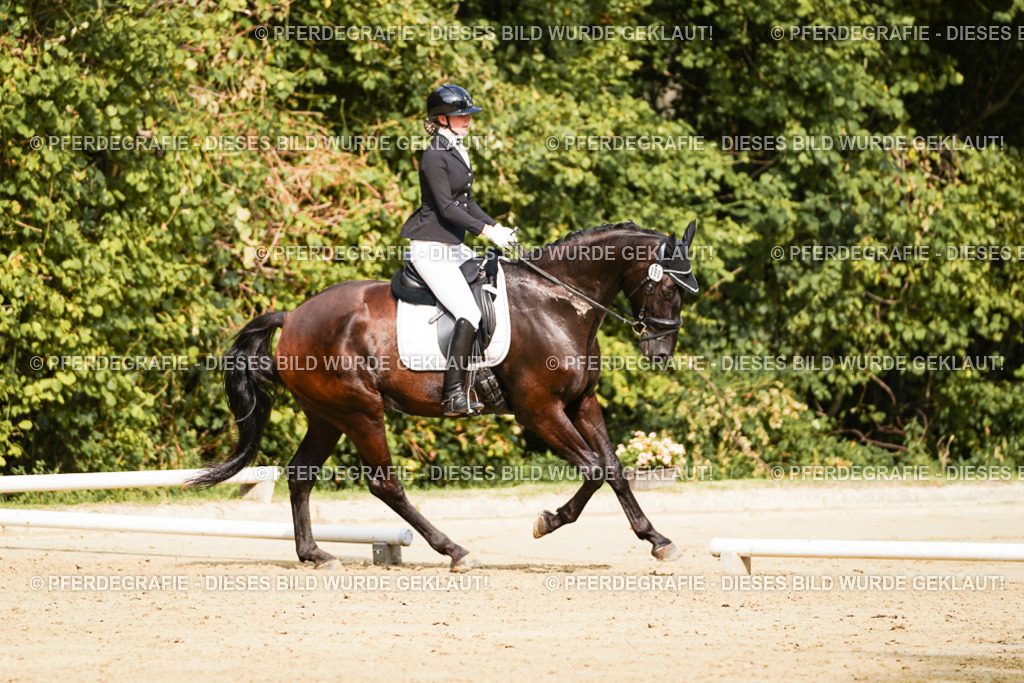 DSC03254 | Pferdegrafie