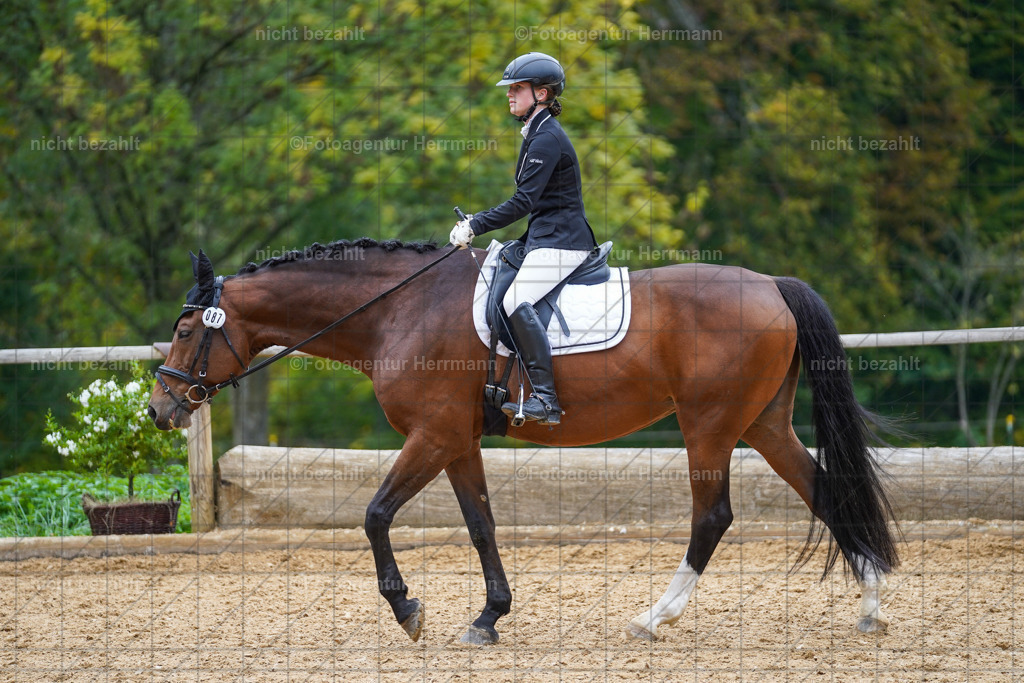 20221008-FAH01646 | Diessen am Ammersee, 2022, Dressur- und Springturnier, Reitsportbilder, Turnierfotografen Bayern, Pferdefotografen, Fotoagentur Herrmann, Turnierbilder