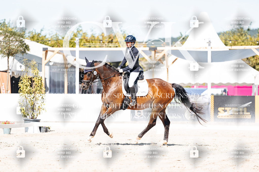CK909324 | Turnierfotografie Pferdefotografie Trier Rheinland-Pfalz Pferdesport Reitsport Tierfotografie Sportfotografie Pferdevideo Pferdevideografie Equestrianvideography equestrianphotography  - Realisiert mit Pictrs.com