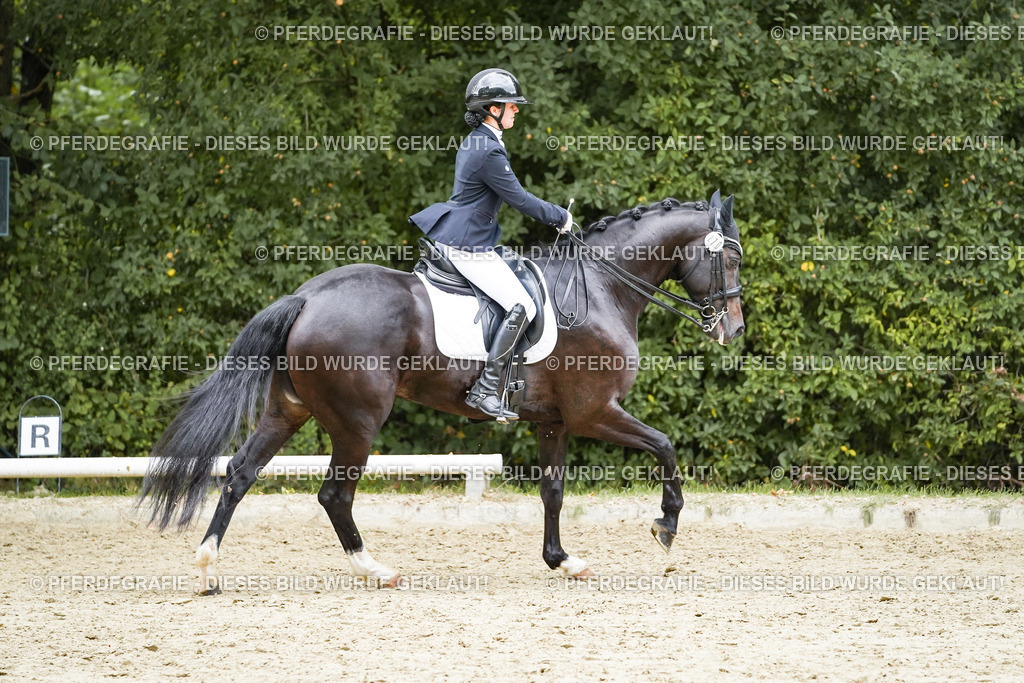 DSC07104 | Pferdegrafie