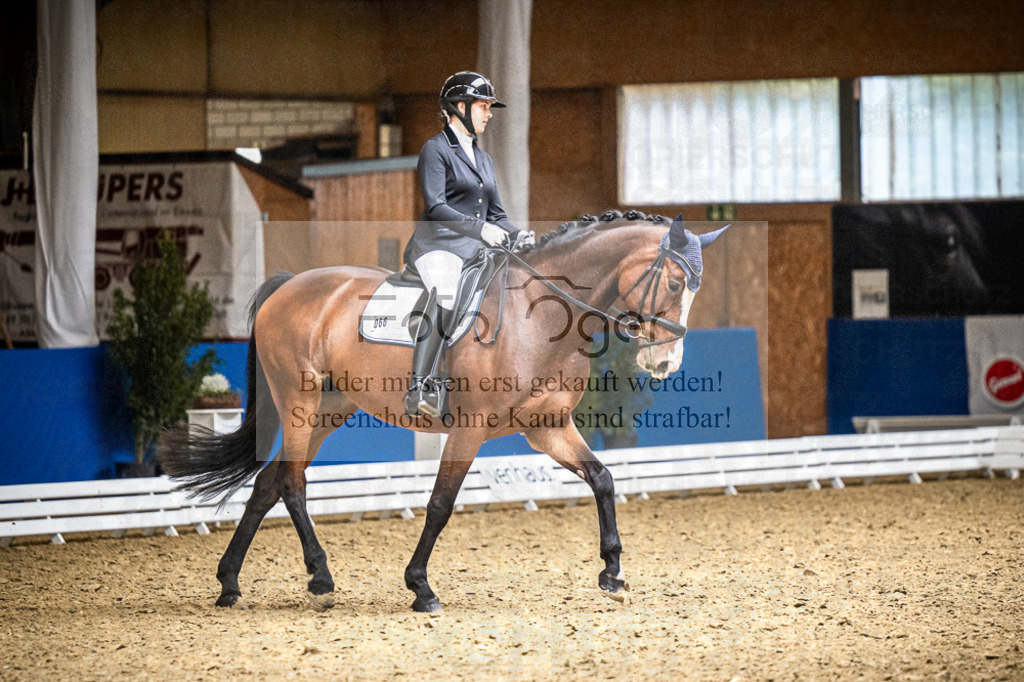 DOS_1230 | Entdecke hochwertige Reitturnierfotos von Foto Oger. Professionell, emotional und authentisch – jetzt Lieblingsmomente im Shop bestellen.Deutschlandweite Turnierfotografie. - Realisiert mit Pictrs.com