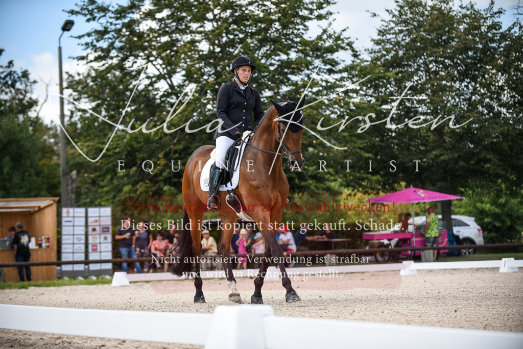 DSC_9010 | Pferde- und Turnierfotografie in Westsachsen. Pferdeportraits, Auftragszeichnungen und intuitive Kunst.