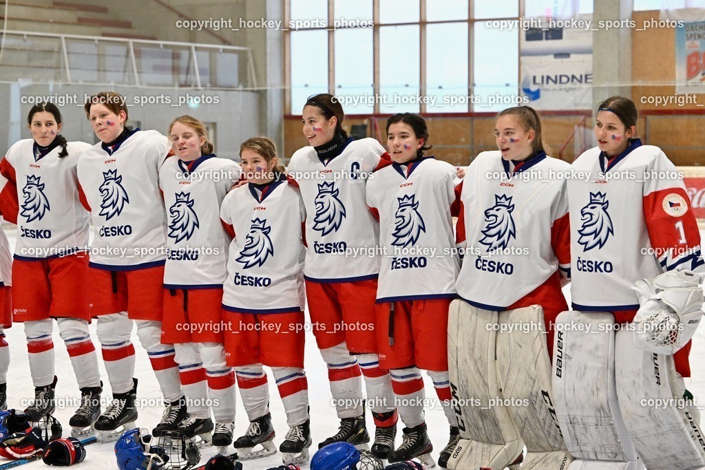 Z9B_4085 | hockey sports photos, Pressefotos, Sportfotos, hockey247, win 2day icehockeyleague, Handball Austria, Floorball Austria, ÖVV, Kärntner Eishockeyverband, KEHV, KFV, Kärntner Fussballverband, Österreichischer Volleyballverband, Alps Hockey League, ÖFB, 