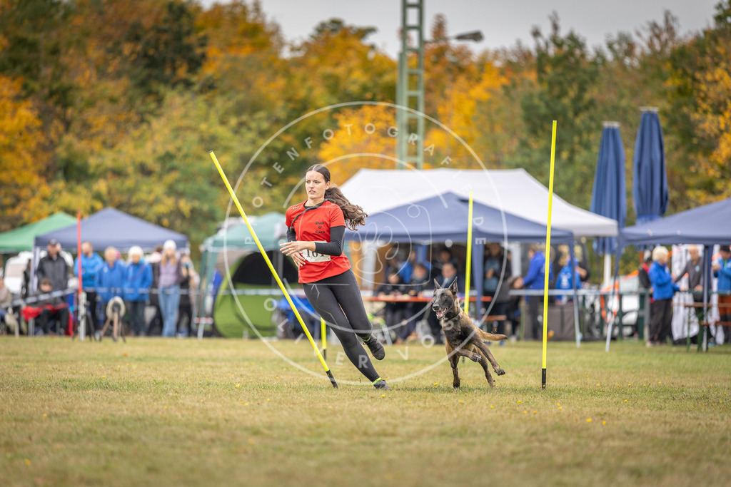 Pfotenfotografie_DV3A5205 | Hundefotografie, Tierfotograf, Pfotenfotografie, Fotoshooting Hund, Hunde Portrait, Hundesport, Hundeportraits, Heideshooting, Hunde, Sportfotograf, Hundefotograf, Turnierhundsport, THS,  - Realisiert mit Pictrs.com