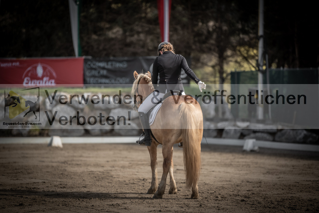 DSC_8695 | equestrian-live-com