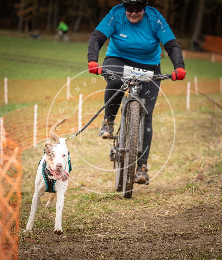 DV3A0839 | Hundefotografie, Tierfotograf, Pfotenfotografie, Fotoshooting Hund, Hunde Portrait, Hundesport, Hundeportraits, Heideshooting, Hunde, Sportfotograf, Hundefotograf, Turnierhundsport, THS,  - Realisiert mit Pictrs.com
