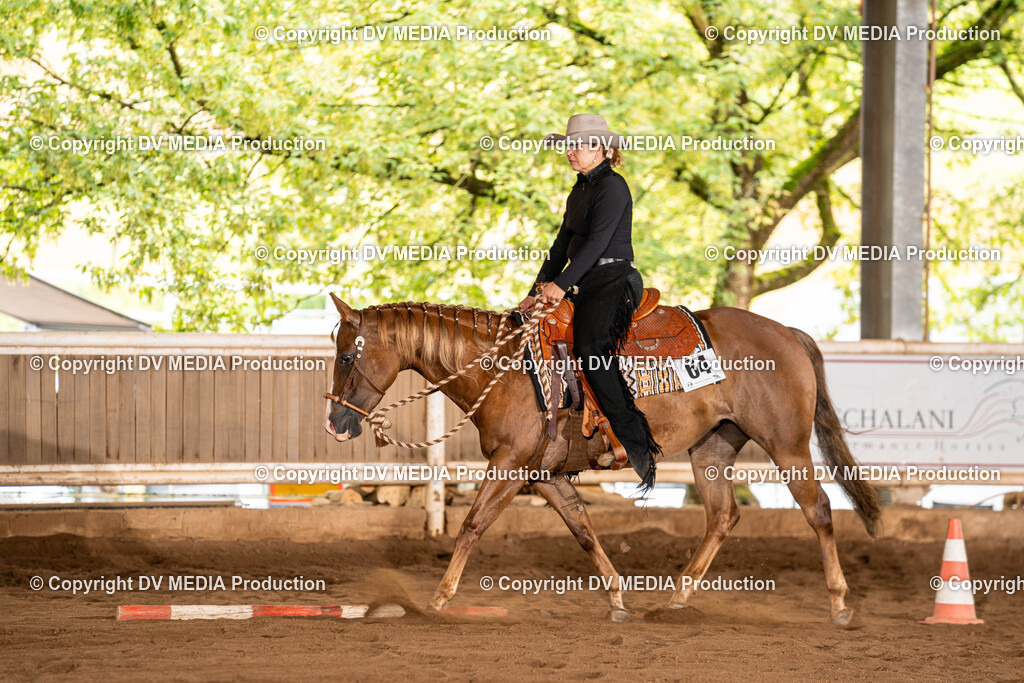 Erbach Tag 1-283 | dv-media-shop - Realisiert mit Pictrs.com