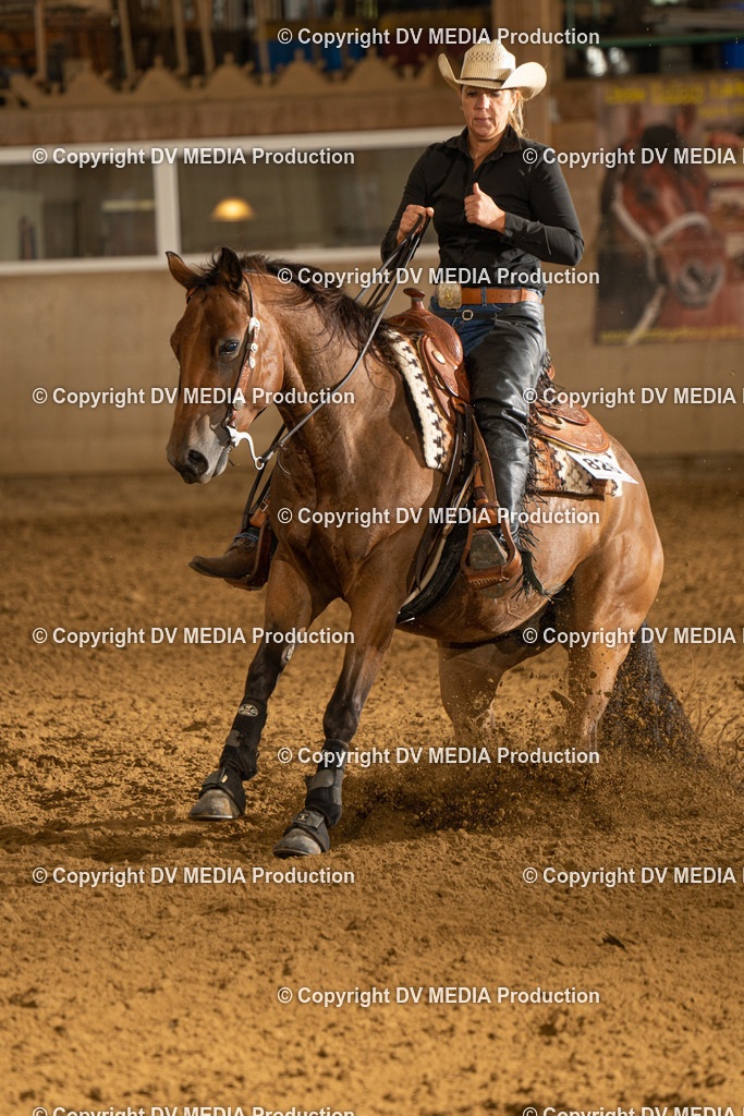 LAU00731 | dv-media-shop - Realisiert mit Pictrs.com