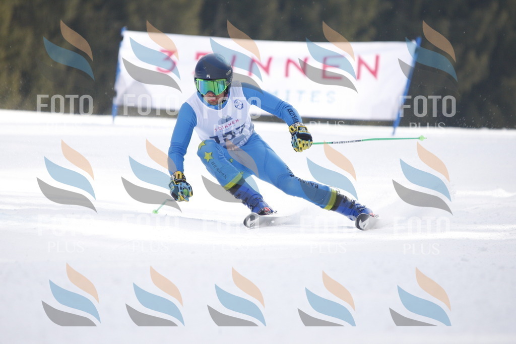 D7308 | holidayphoto