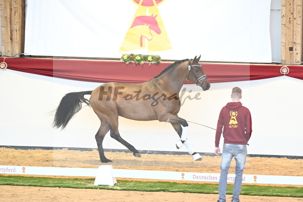 Kat.-Nr. 51 v. Freiherr von Stein_Graditz_2240602 | hf-fotografie - Realisiert mit Pictrs.com