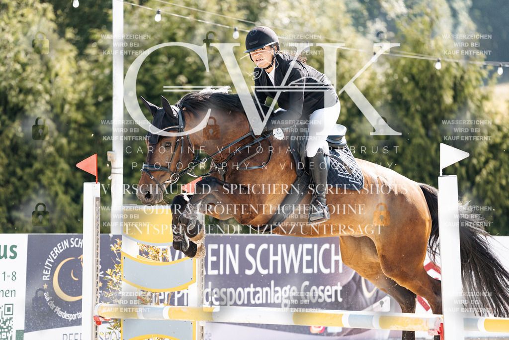 CK908285 | Turnierfotografie Pferdefotografie Trier Rheinland-Pfalz Pferdesport Reitsport Tierfotografie Sportfotografie Pferdevideo Pferdevideografie Equestrianvideography equestrianphotography  - Realisiert mit Pictrs.com