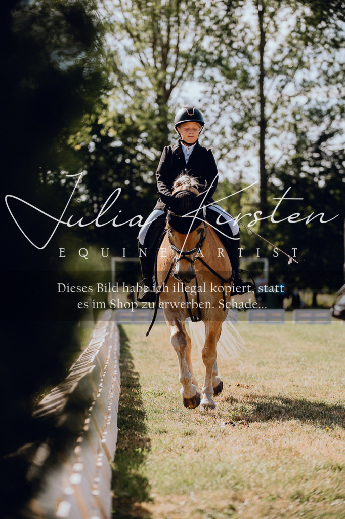 DSC_7156 | Pferde- und Turnierfotografie in Westsachsen. Pferdeportraits, Auftragszeichnungen und intuitive Kunst.