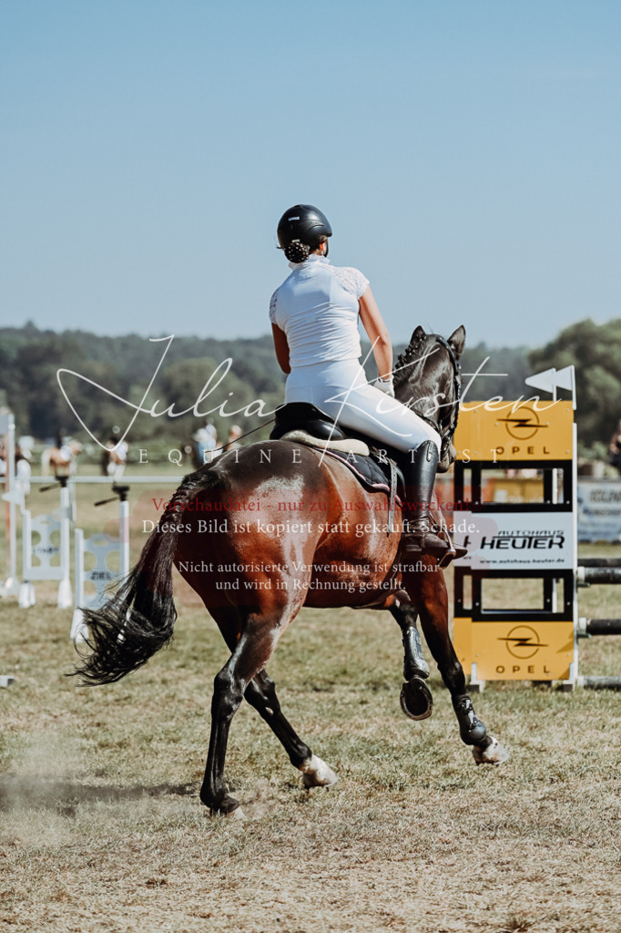 DSC_9550 | Pferde- und Turnierfotografie in Westsachsen. Pferdeportraits, Auftragszeichnungen und intuitive Kunst.