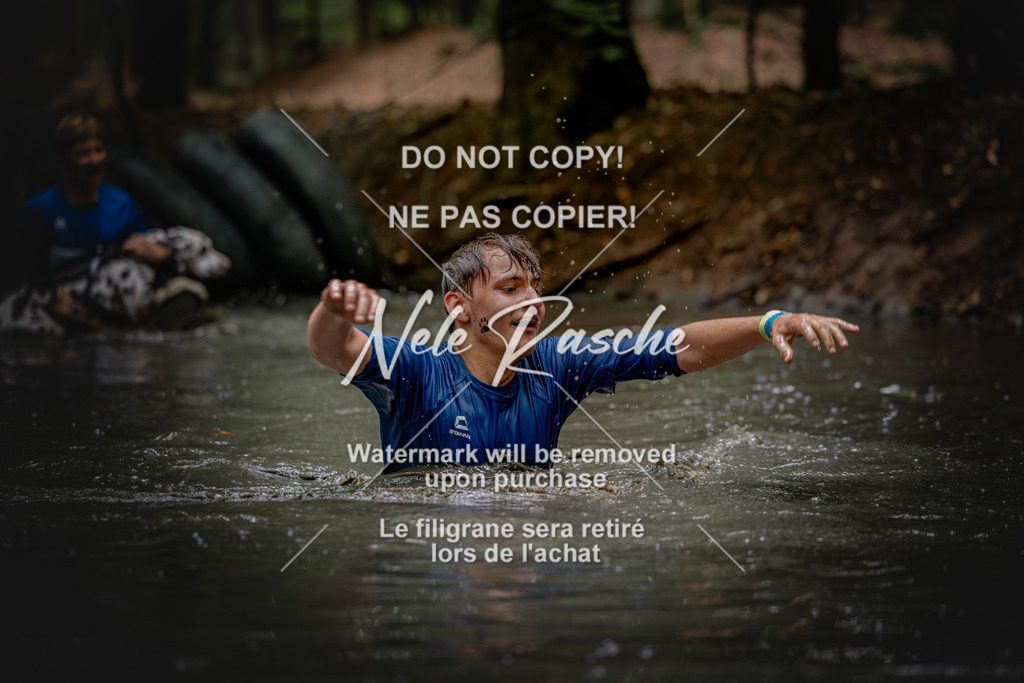 nelerasche_SaWingst1200-1230_282 | nelerasche
