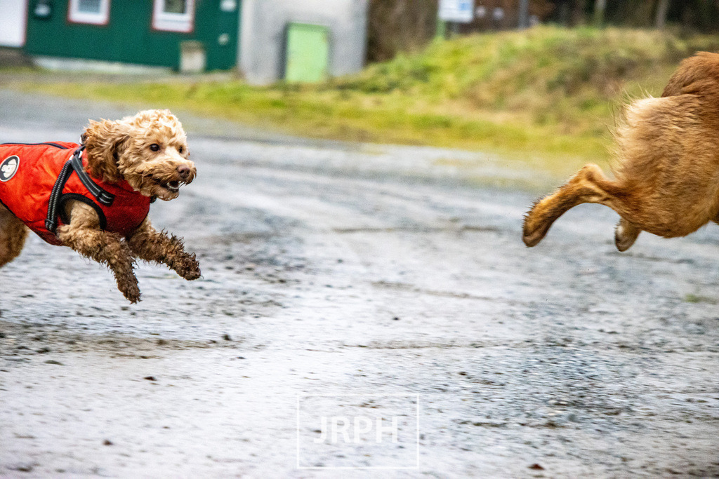 IMG_1484 | jrph - Realisiert mit Pictrs.com