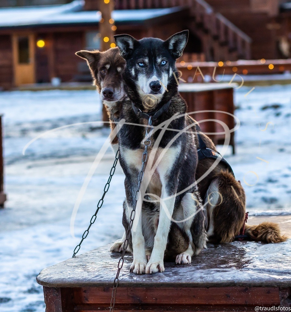 7A3D43FA-73E9-4EB5-8F77-59E35AA97871 | traudl_s_fotos