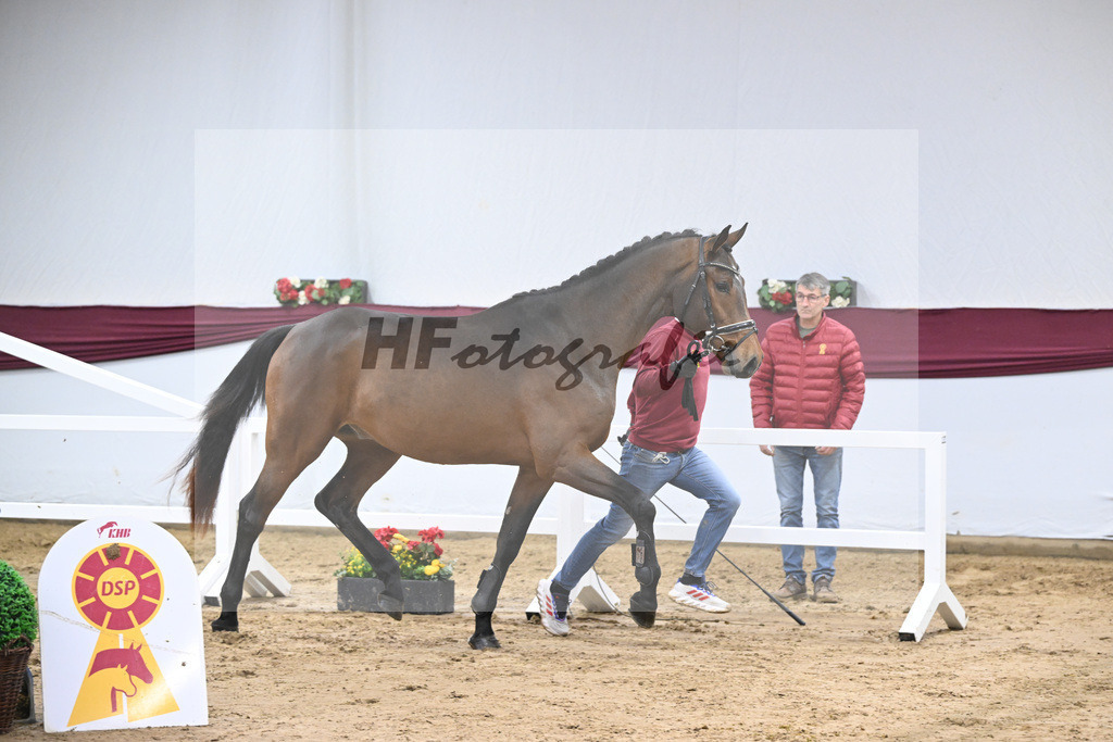 Kat-Nr. 90 Million Dollar x Cash and Carry_Ralf Laubheimer_47253105 | hf-fotografie - Realisiert mit Pictrs.com