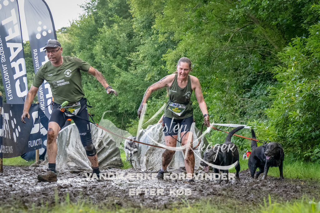 1156_ZZ90426-Bearbeitet | kk-dogfotos
