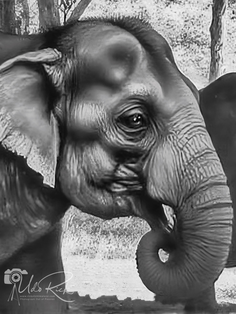 Chang_SW | Entdecken Sie Fotografie aus Leidenschaft: Auftragsfotografie, HD-Fotos, Geschenkartikel aus Ihren Bildern und vieles mehr. Beauftragen Sie uns für besondere Momente!