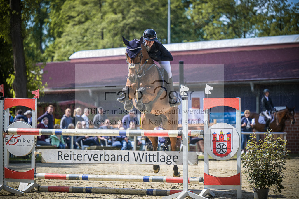 DOS_7848 | Entdecke hochwertige Reitturnierfotos von Foto Oger. Professionell, emotional und authentisch – jetzt Lieblingsmomente im Shop bestellen.Deutschlandweite Turnierfotografie. - Realisiert mit Pictrs.com