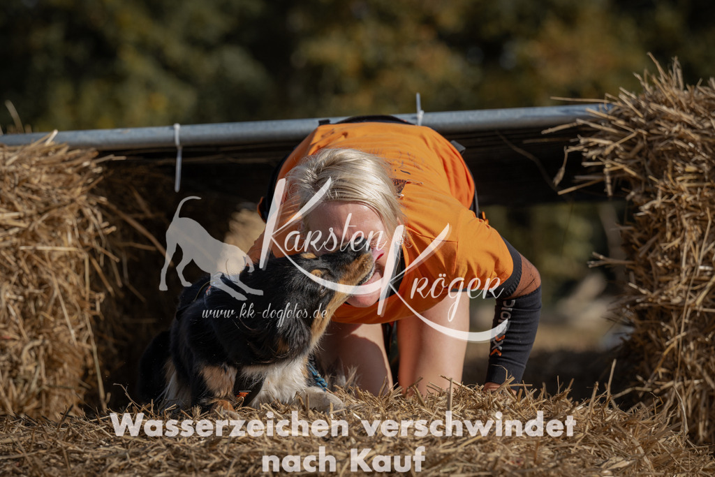 1121_ZZ91210 | kk-dogfotos