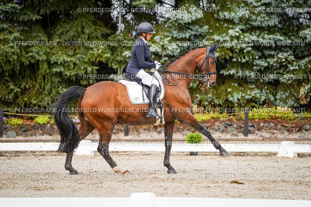 DSC09764 | Pferdegrafie