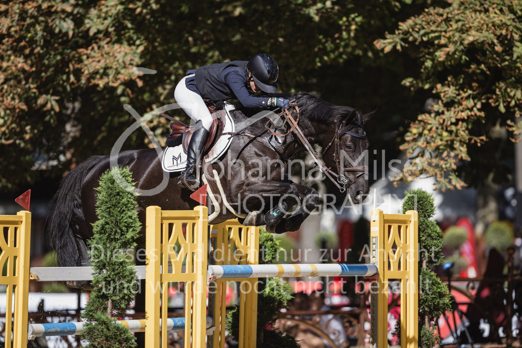 230908_OWLCh_LargeTour-534 | Deine schönsten Turniermomente als professionelle Fotos! Entdecke hochwertige Pferdesport-Fotografie im Online-Shop. Jetzt Fotos finden & bestellen!