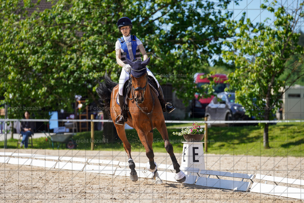 20240518-FAH03106 | rbilder, Turnierfotografen ayern, Fotoagentur Herrmann, Geländeturnier, Springbilder, Dressurbilder, Jungpferdefotograf