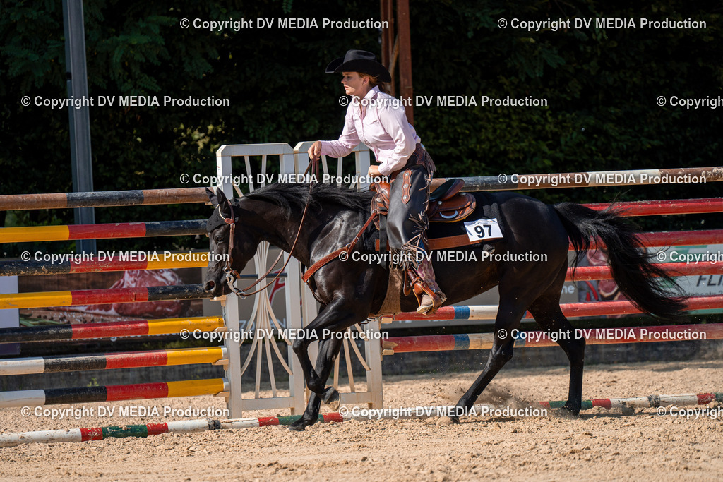 ZH100733 | dv-media-shop - Realisiert mit Pictrs.com