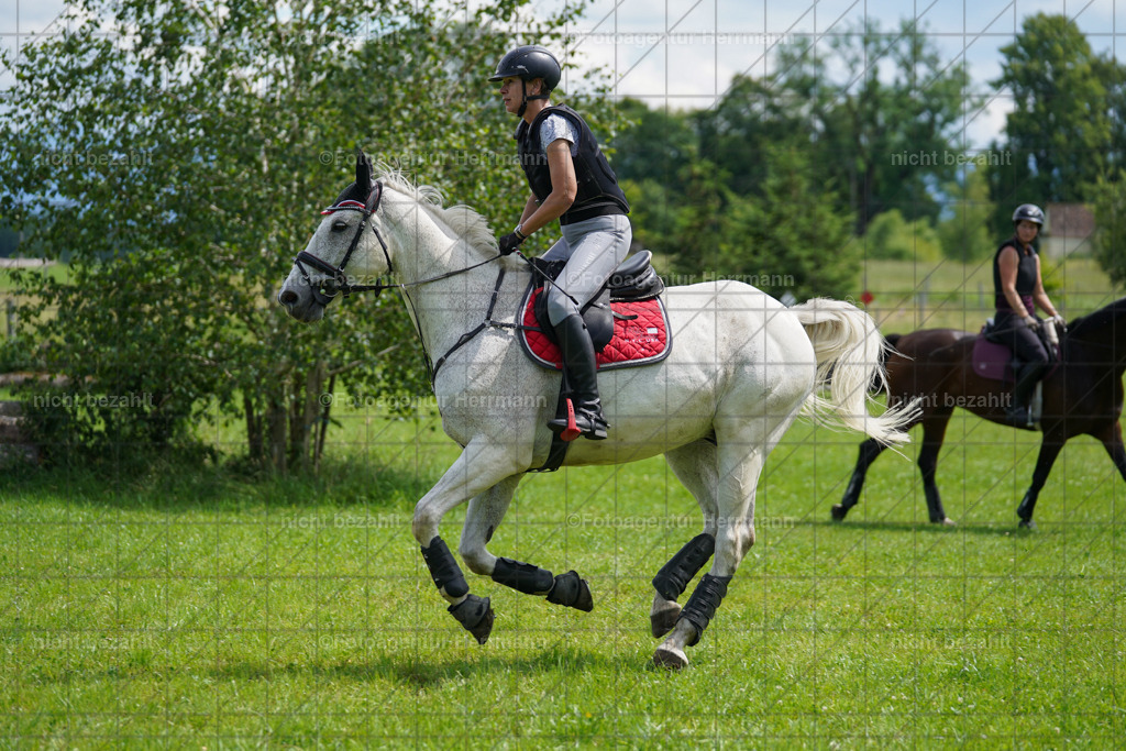20240622-FAH07566 | Turnierfotografen Bayern, Reitsportbilder aus dem Geländekurs mit Felix Etzel auf dem Gut Waitzacker 2024