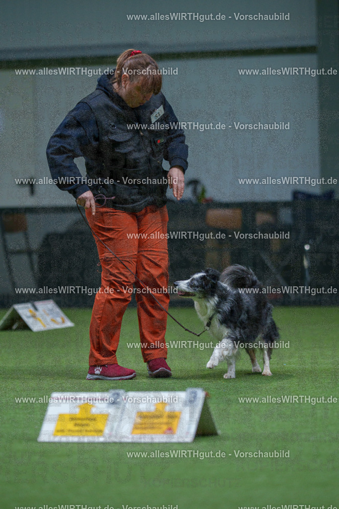 7R506416 | Professionelle Tierfotografie in Mönchengladbach von Daniel Wirth (allesWIRTHgut). Liebevolle & natürliche Bilder von Hunden & Katzen für unvergessliche Erinnerungen.