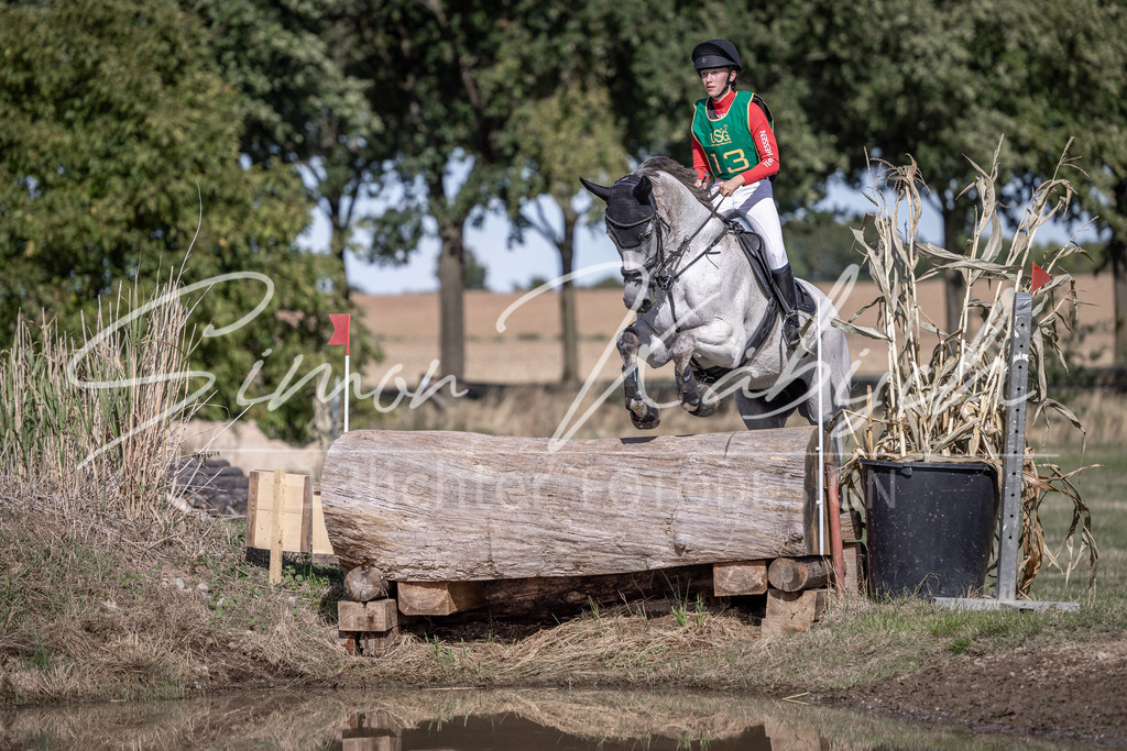 20260906-_3LI5926 | Tierfotografie Pferde, Hunde, Katzen, Haustiere.
Turnierfotografie Reitturniere, Reiten, Springreiten, Dressur in Hanau, dem Main-Kinzig-Kreis und dem Rhein-Main- Gebiet um Frankfurt