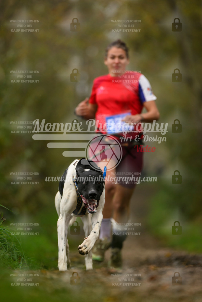 MompixPhotography_20TSB_E6_Run-53 | PayLife