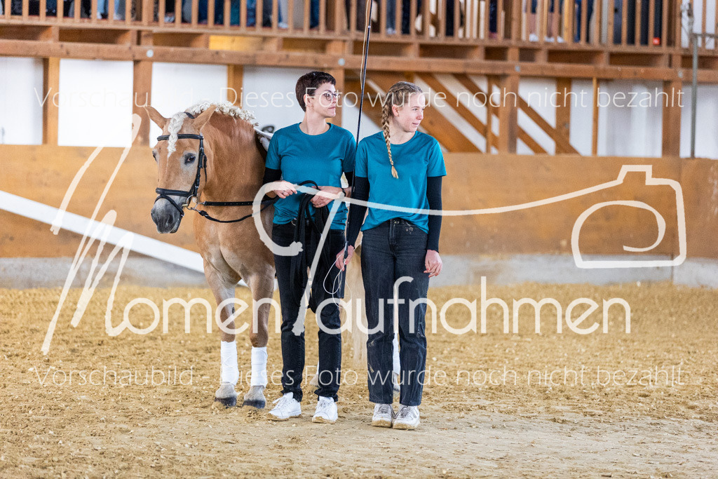 SS-Mini-015 | MomenTaufnahmen Pferdesportfotos