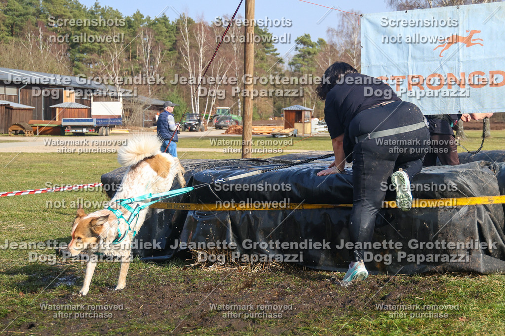 Dog Paparazzi - Strongdog North Mrz26-2935 | Dog Paparazzi Jeanette Grottendiek Fotografie & Videografie - Realisiert mit Pictrs.com