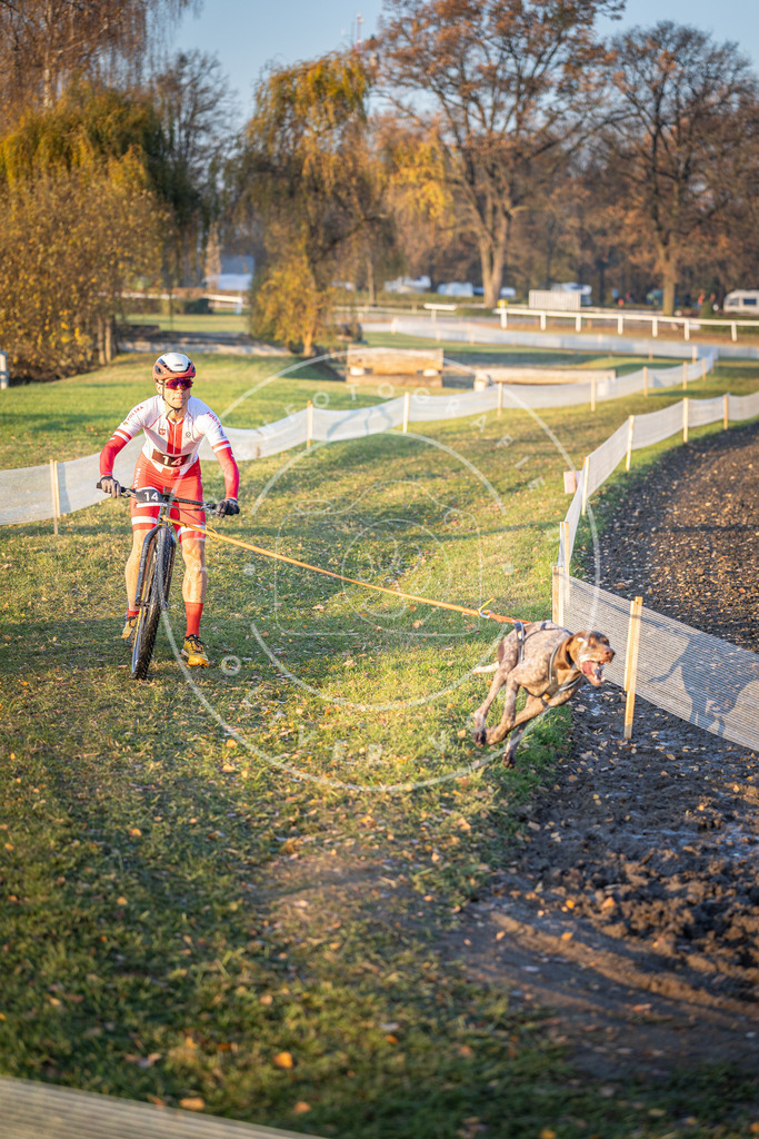 CaniXpix_DV3A9536 | Hundefotografie, Tierfotograf, Pfotenfotografie, Fotoshooting Hund, Hunde Portrait, Hundesport, Hundeportraits, Heideshooting, Hunde, Sportfotograf, Hundefotograf, Turnierhundsport, THS,  - Realisiert mit Pictrs.com