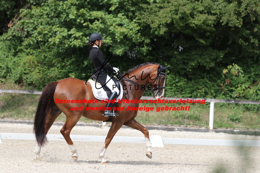 IMG_7103 | lmwpictures - Realisiert mit Pictrs.com