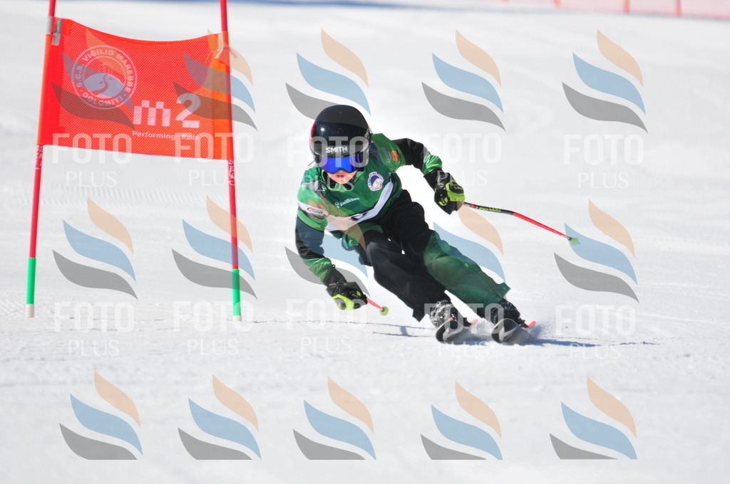 C3098 | holidayphoto