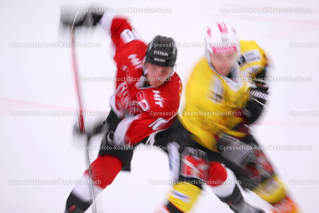 KoeDEL25082301034 | 25.08.2023, Köln, Eishockey, Kölnarena2, Testspiel Kölner Haie -  SC Bern: Justin Schütz (Kölner Haie)