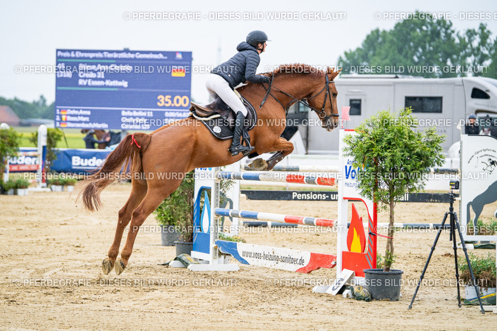 DSC08066 | Pferdegrafie