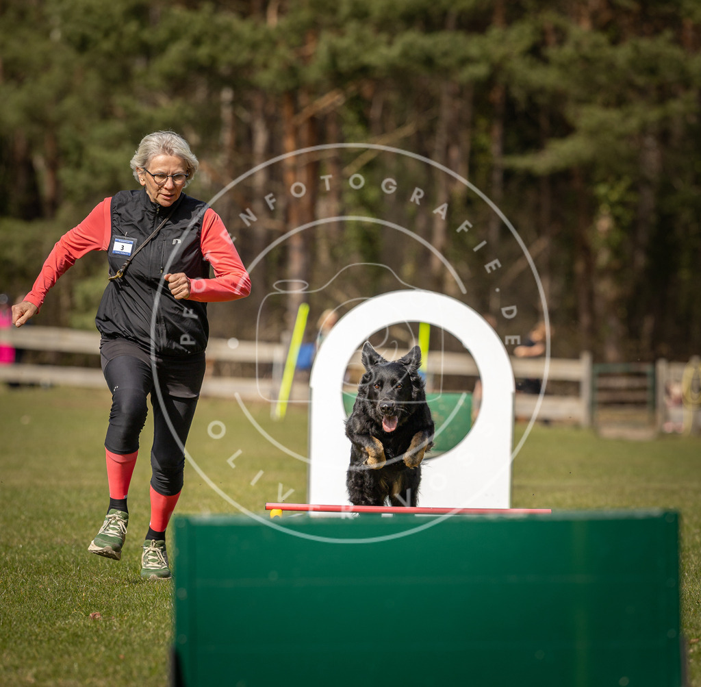 Pfotenfotografie_DV3A0146 | Hundefotografie, Tierfotograf, Pfotenfotografie, Fotoshooting Hund, Hunde Portrait, Hundesport, Hundeportraits, Heideshooting, Hunde, Sportfotograf, Hundefotograf, Turnierhundsport, THS,  - Realisiert mit Pictrs.com