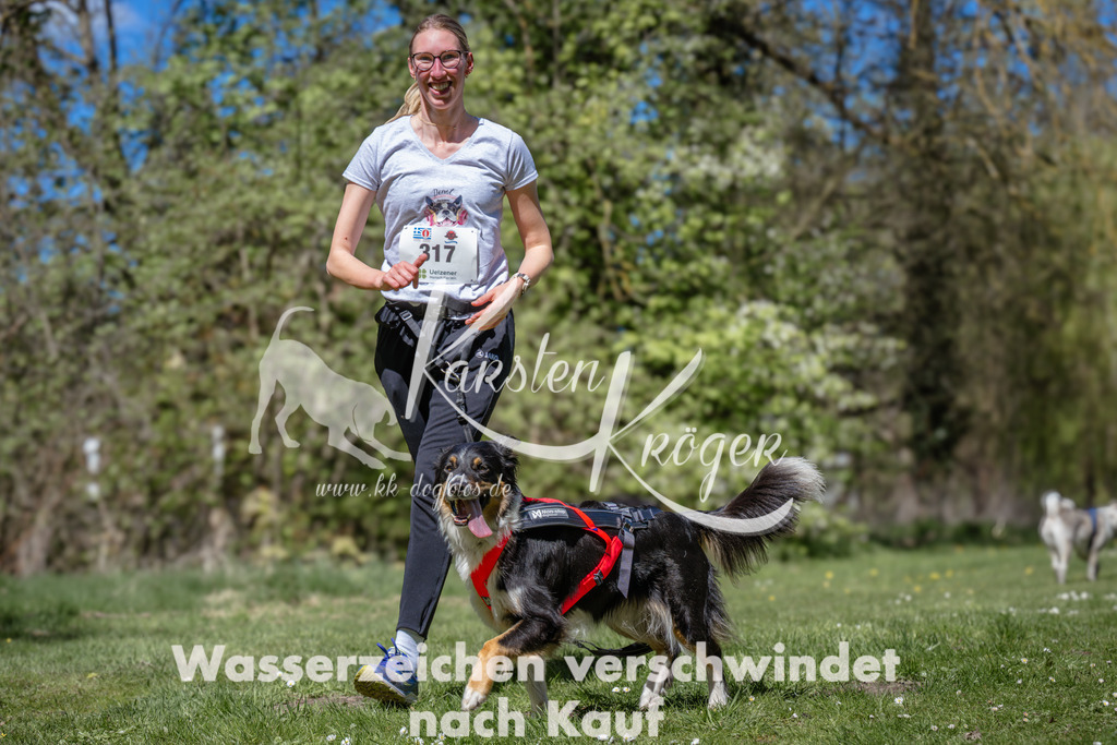 1223_ZZ91406 | kk-dogfotos