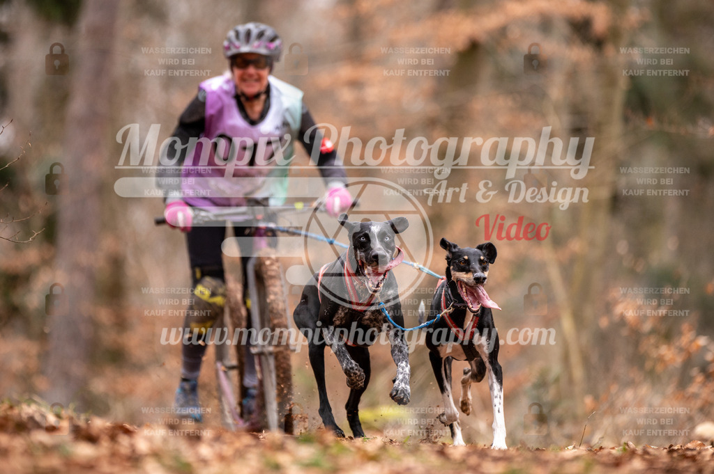 AKM_ST_2023_SAM_DS2-21 | PayLife