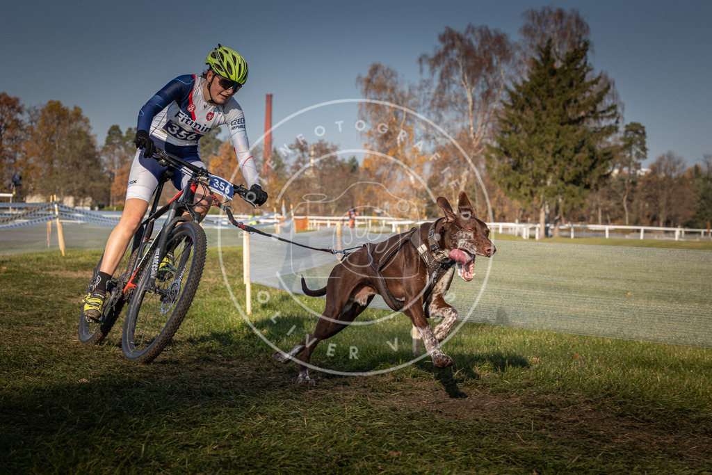 CaniXpix_0L8A6737 | Hundefotografie, Tierfotograf, Pfotenfotografie, Fotoshooting Hund, Hunde Portrait, Hundesport, Hundeportraits, Heideshooting, Hunde, Sportfotograf, Hundefotograf, Turnierhundsport, THS,  - Realisiert mit Pictrs.com